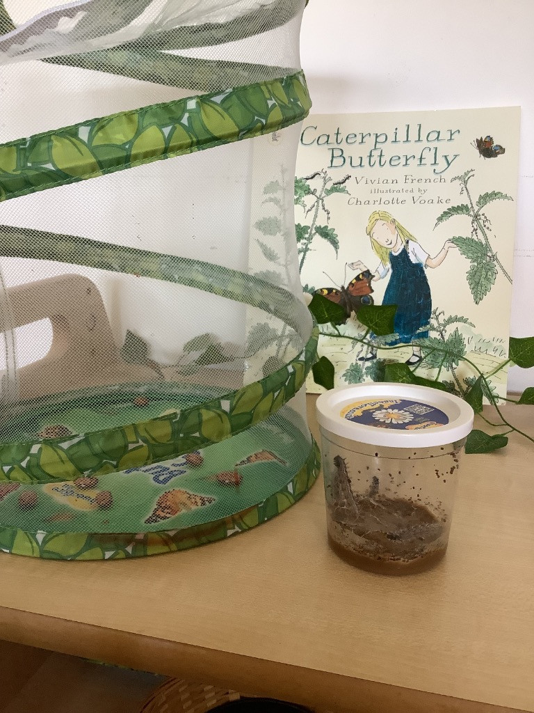 caterpillars